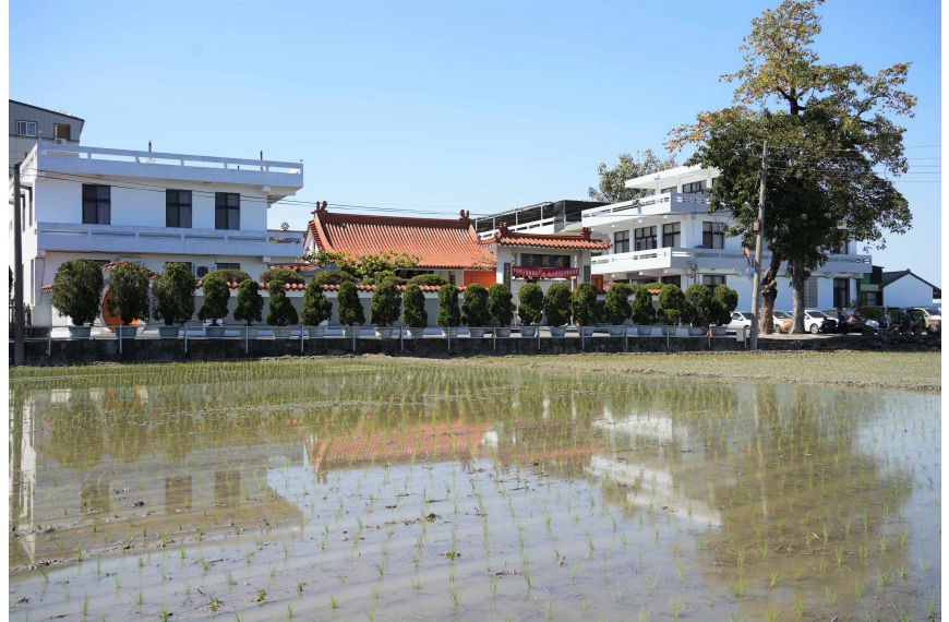 護國寺前方的綠色稻田與藍天構成美麗景色